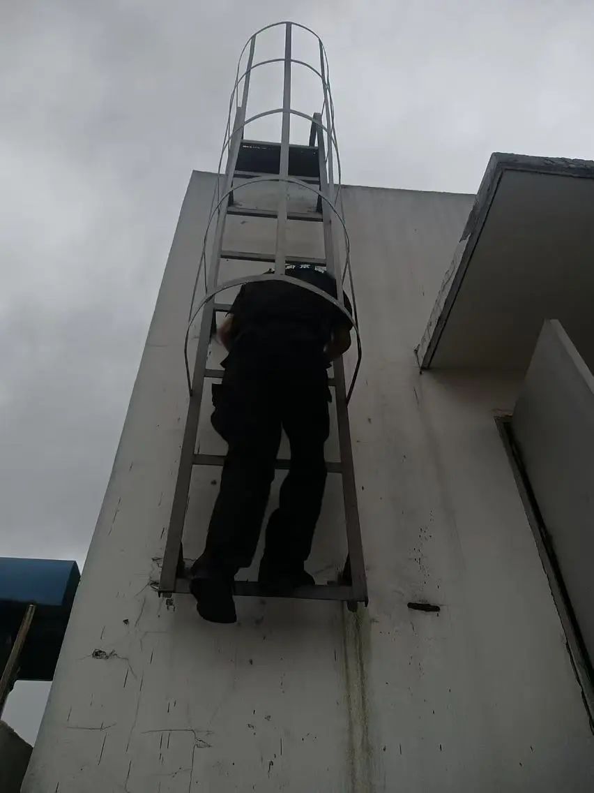 C:/Users/BA/Desktop/風(fēng)雨過后南京保安迅速行動，恢復(fù)安“寧”面貌/3.jpg3